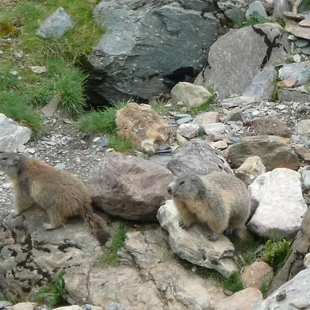 Rdc Maison De Village *