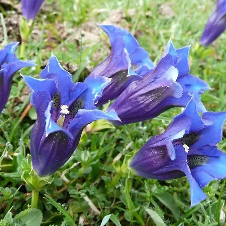 Rdc Maison De Village Apartment Savignac-les-Ormeaux